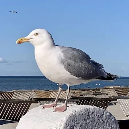Holiday Lust Auf Laboe